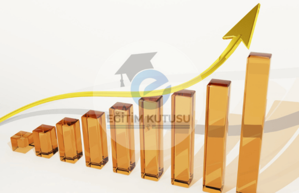 Temel Mali Tablo Analizleri, Karşılaştırmalı Bilanço ve Gelir Tablosu Analizi Eğitimi
